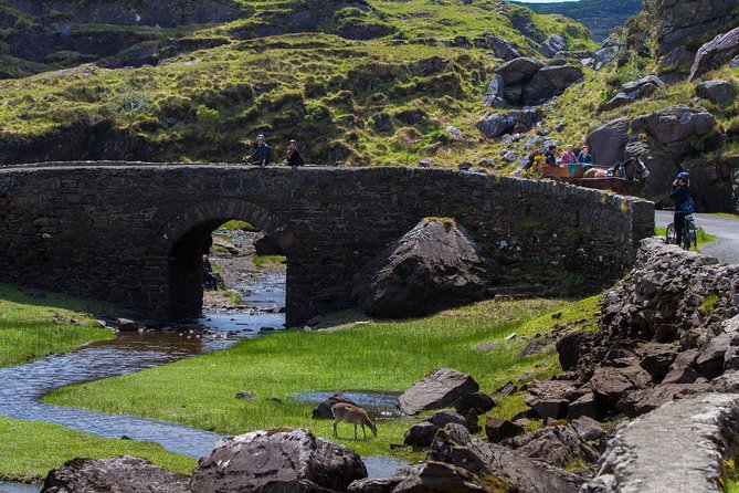 The Gap of Dunloe Full-Day Tour from Killarney - Ross Castle: a short stop, not a castle tour