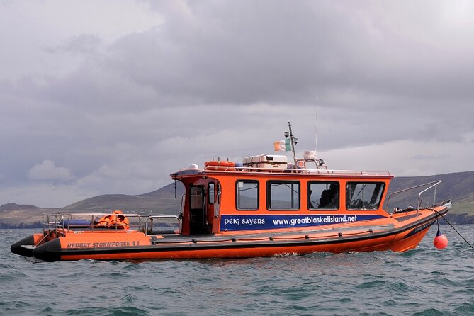 The Great Blasket Island Experience - Premium Tour - The Return to Dingle Between 4 and 6 p.m.