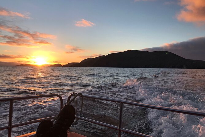 The Great Blasket Island Experience - Premium Tour - Arriving at Great Blasket Island by Dinghy