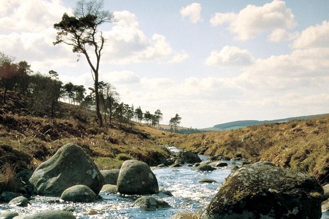 The Original Award Winning Wild Wicklow Tour incl. Glendalough - The return journey ends with a Glendalough whiskey taste