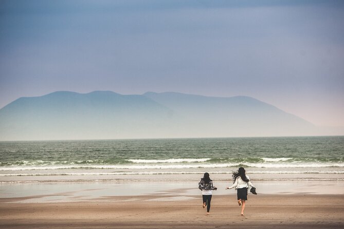 The Wild Coast of Dingle Peninsula and Slea Head from Killarney - Quick takeaways for planning your day
