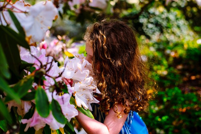 Tickets to Explore Ireland's Global Garden - Key points to know before you go