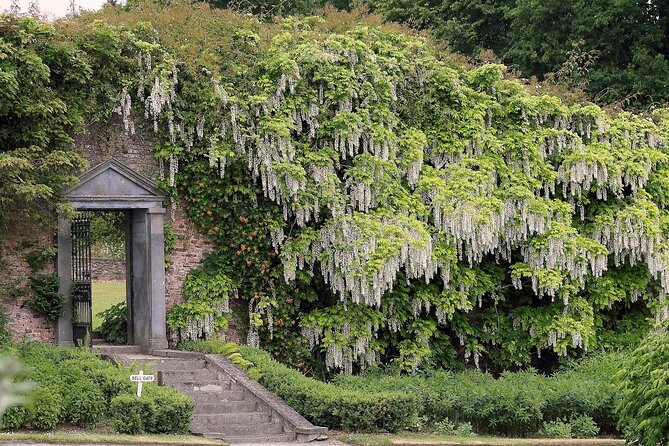 Tickets to Explore Ireland's Global Garden - Why the 16km garden area changes the visit