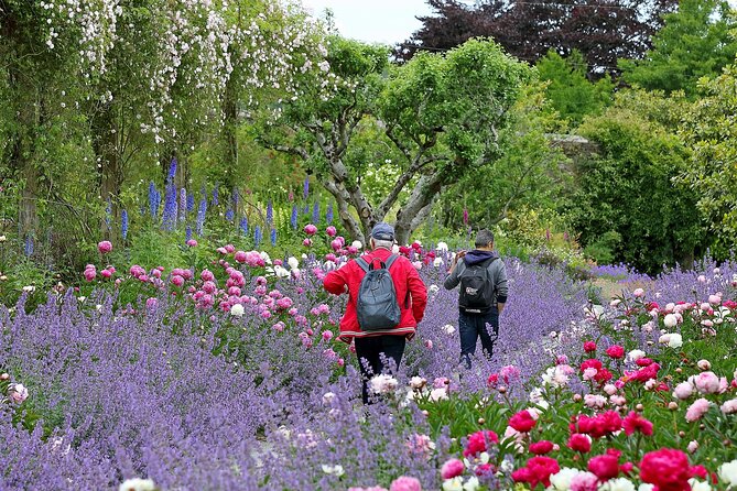 Tickets to Explore Ireland's Global Garden - A self-guided stop that rewards your own pace
