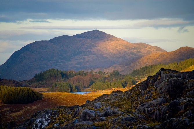 Torc mountain & waterfall hike. Killarney. Private guided group. 3½ hours. - Why this Killarney hike is worth your morning
