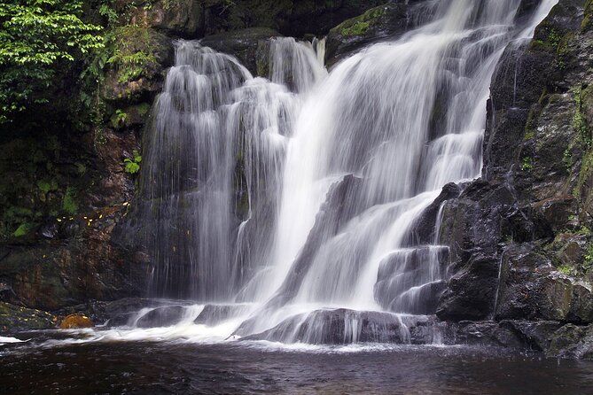 Torc mountain & waterfall hike. Killarney. Private guided group. 3½ hours. - What a private guide adds to the experience