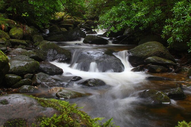Torc mountain & waterfall hike. Killarney. Private guided group. 3½ hours. - The walk to Torc Waterfall