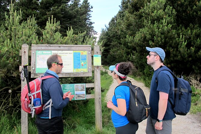 Trek the Tombs and Trails in the Dublin Mountains - Wild berries and the pleasures of a seasonal pause