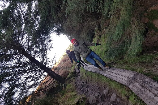 Trek the Tombs and Trails in the Dublin Mountains - Along the ridge toward Tibradden
