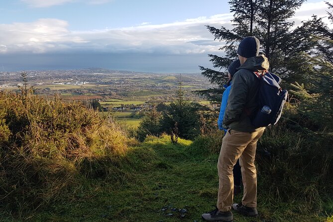 Trek the Tombs and Trails in the Dublin Mountains - Forest paths, country roads, and The Hazel House