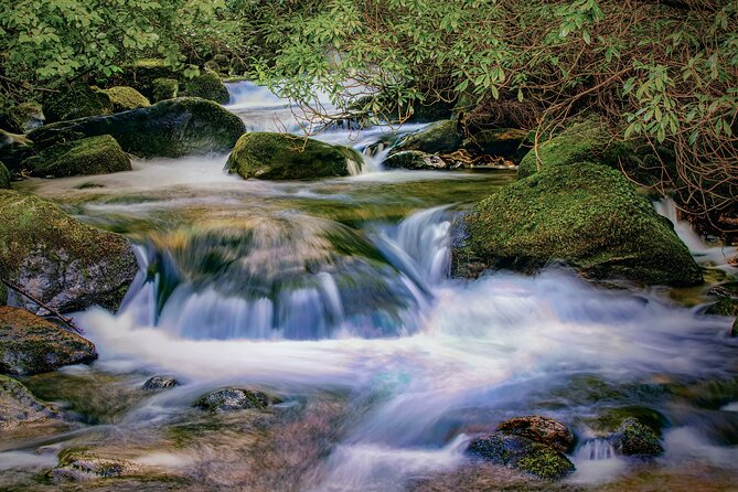 Uncover the Ring of Kerry & Kerry Cliffs -Private Luxury Day Tour - Kenmare and Moll’s Gap: two different kinds of stops