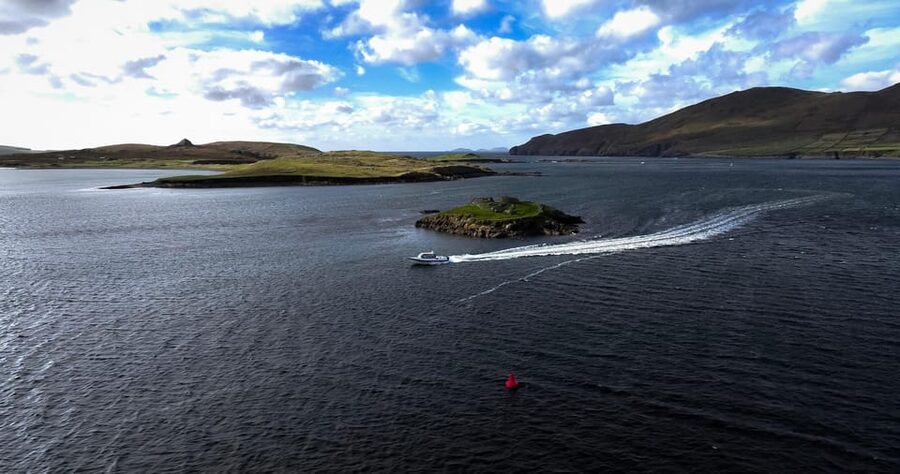 Valentia Island : The Experience - Wildlife: rewarding, but not a guaranteed close-up