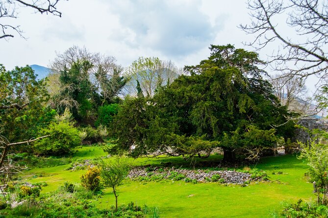 Visit Innisfallen Island - Who should book this Killarney boat trip?