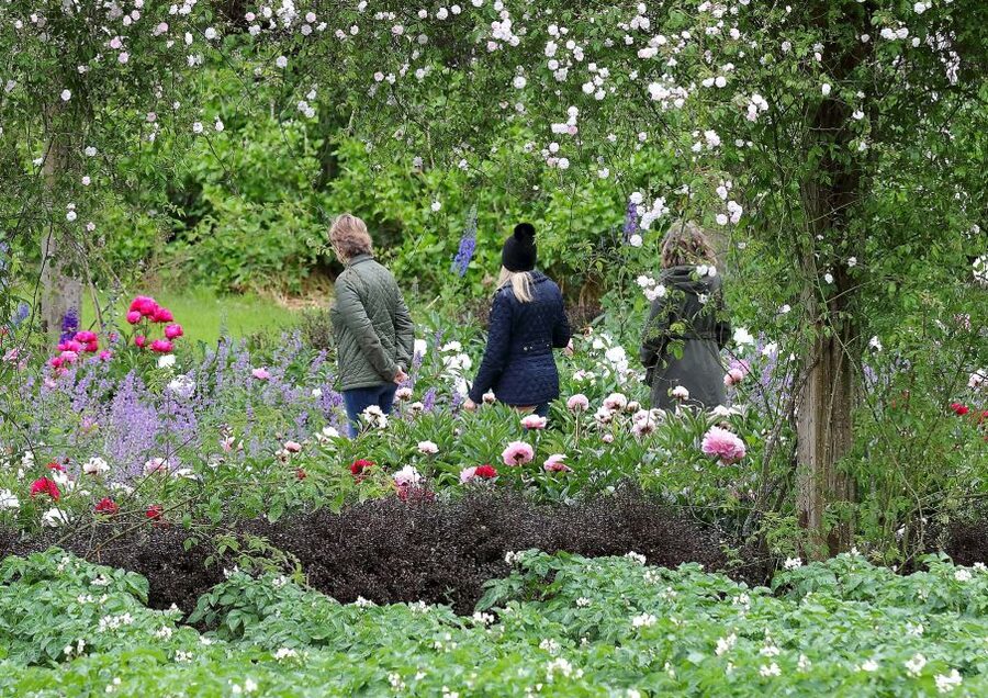 Waterford: Mount Congreve Gardens Entry Ticket - Practical planning for a comfortable visit