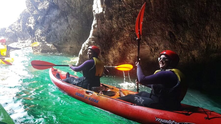 Wexford: Hook Peninsula Sea Cave Kayaking Experience - Wildlife along the Atlantic coast
