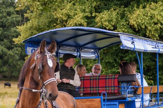 Whiskey & Wonders in Killarney - Five things to know before you book