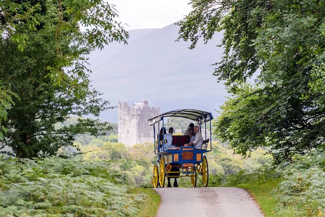 Whiskey & Wonders in Killarney - Why this short Killarney tour works