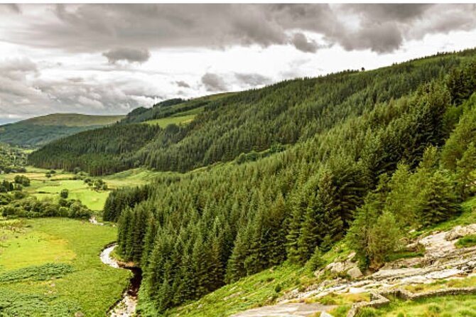 Wicklow and Glendalough Private Chauffeured Sightseeing Tour - What the chauffeur service adds