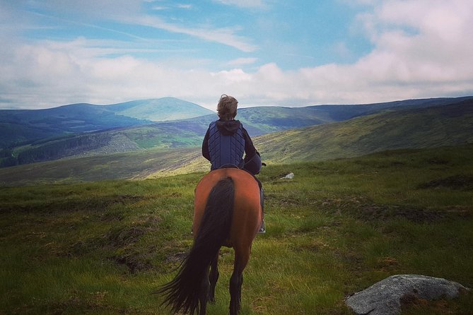 Wicklow Mountains Horse Trekking - Key points to know before you book