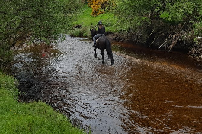 Wicklow Mountains Horse Trekking - What the 10:00 a.m. meeting means
