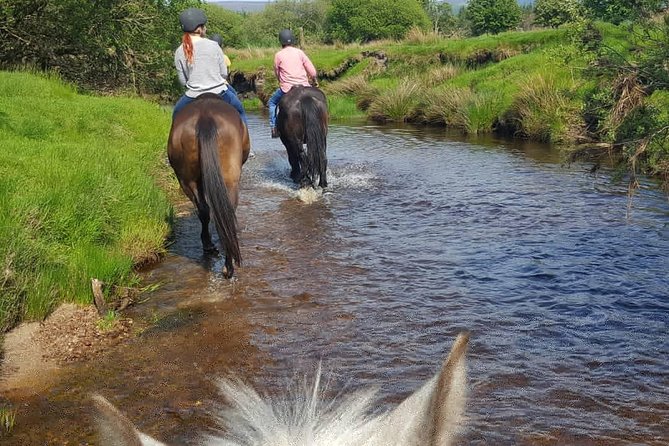Wicklow Mountains Horse Trekking - Cantering for experienced riders