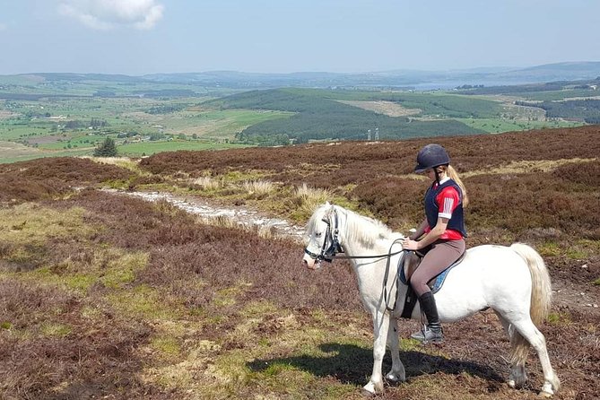 Wicklow Mountains Horse Trekking - Guides who keep the ride reassuring