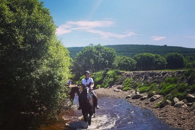 Wicklow Mountains Horse Trekking - Who will enjoy this most
