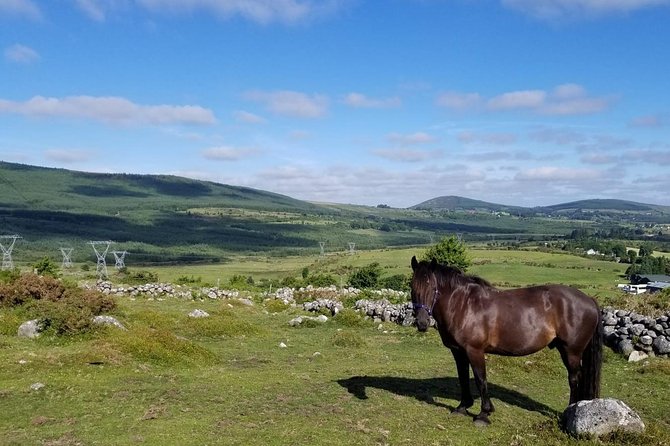 Wicklow Mountains Horse Trekking - A short lesson before the horses head out