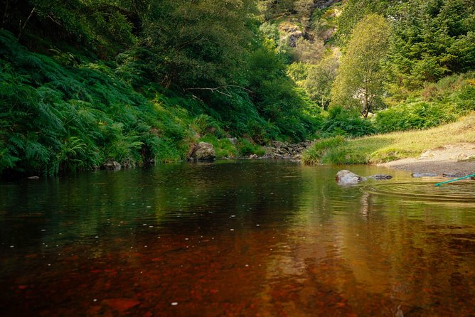Wicklow Mountains Private Day Trip from Dublin - Laragh and route choices beyond the main stops