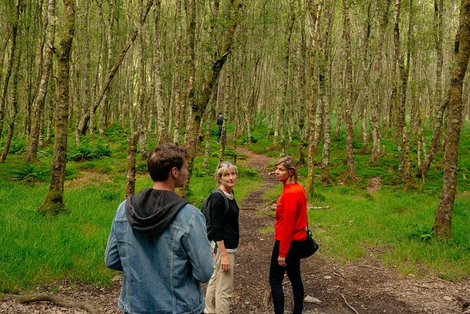 Wicklow Mountains Private Day Trip from Dublin - Who should book this private Wicklow outing?