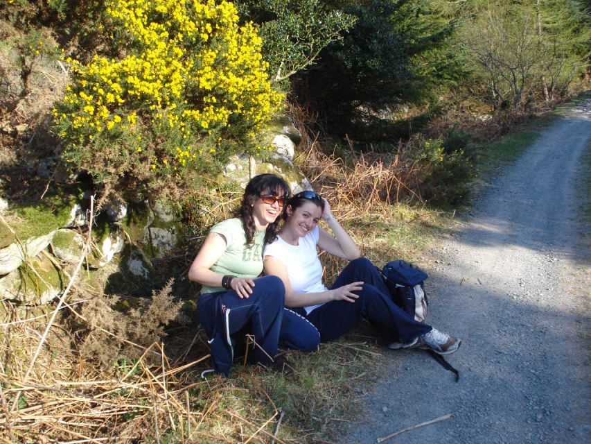 Wicklow: Private Day Tour from Dublin - Scenic stops in Wicklow Mountains National Park