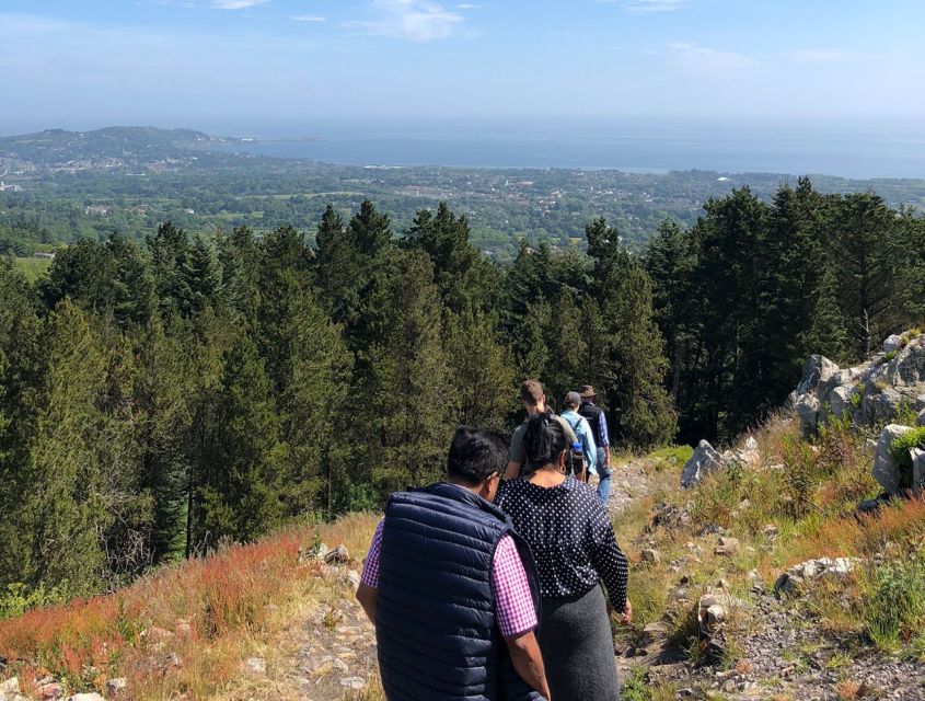 Wicklow: Private Day Tour from Dublin - Glendalough’s lakes and sixth-century monastery