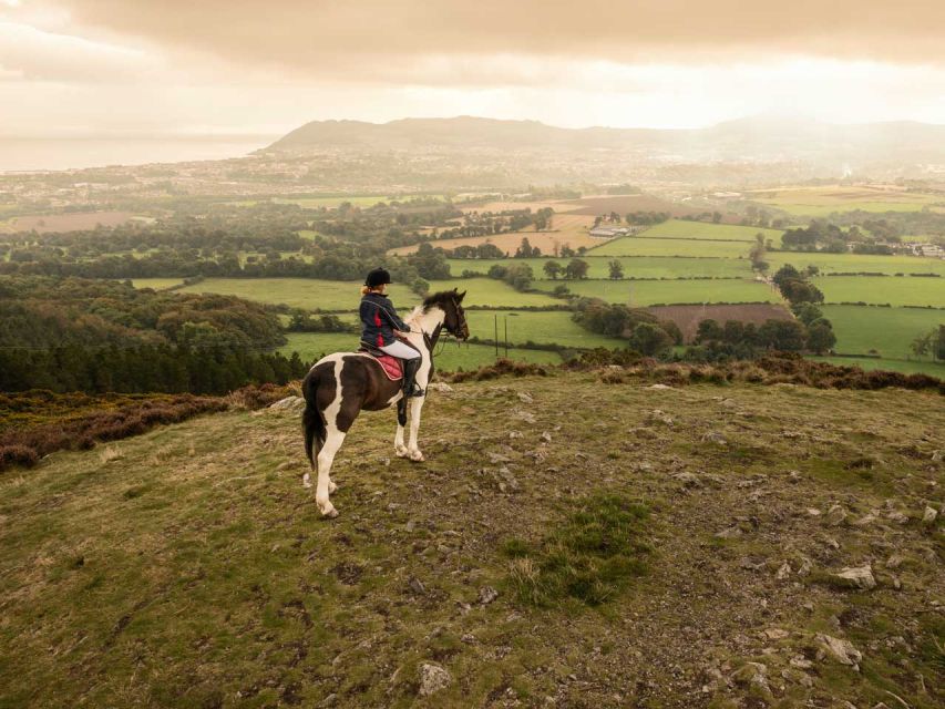 Wicklow: Private Day Tour from Dublin - How the private format changes the day